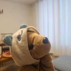 정 귤 임대인의 프로필 이미지