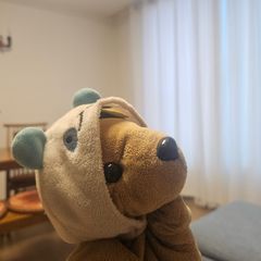 정 귤 Landlord's Profile Image