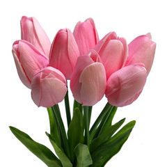 아리안 임대인의 프로필 이미지