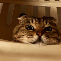 이수빈 Landlord's Profile Image