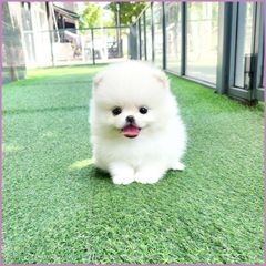 따뜻한집❤️ Landlord's Profile Image