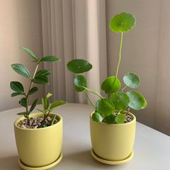 깔끔한호스트 임대인의 프로필 이미지