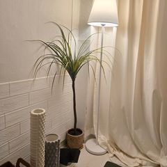 (주)스페이스멘토 Landlord's Profile Image