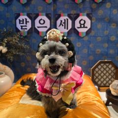 박소영 Landlord's Profile Image