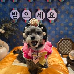 박소영 임대인의 프로필 이미지
