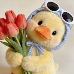 오하라 임대인의 프로필 이미지