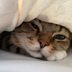 권재준 임대인의 프로필 이미지