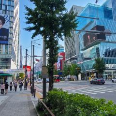 노바 임대인의 프로필 이미지