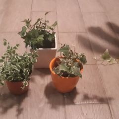 another 임대인의 프로필 이미지