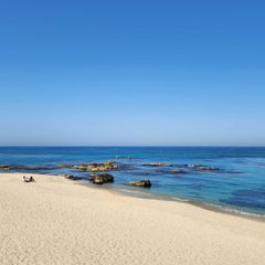심종봉 임대인의 프로필 이미지