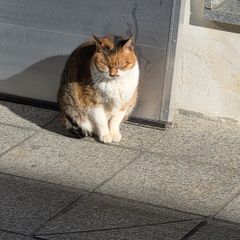 오지운 임대인의 프로필 이미지