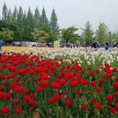 편안한 집 임대인의 프로필 이미지