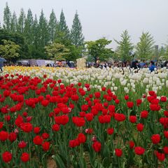 편안한 집 임대인의 프로필 이미지
