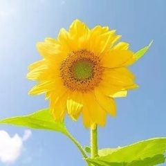 박종호 임대인의 프로필 이미지