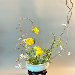 이선우 임대인의 프로필 이미지