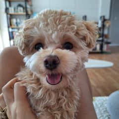 김옥영 Landlord's Profile Image