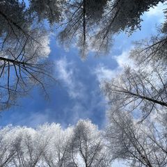 마정우 임대인의 프로필 이미지