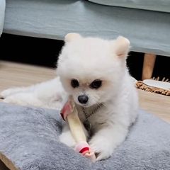 Blue House 임대인의 프로필 이미지