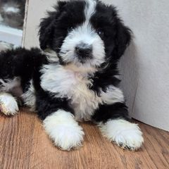 또또링 Landlord's Profile Image