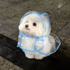 김자영 임대인의 프로필 이미지