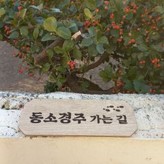 정진숙 임대인의 프로필 이미지