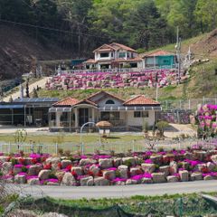 임경지 임대인의 프로필 이미지