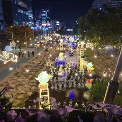 블루드레곤 임대인의 프로필 이미지