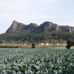 함서령 임대인의 프로필 이미지