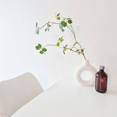 스테이 평주 Landlord's Profile Image