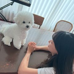 김설아 임대인의 프로필 이미지