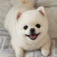Hwan Landlord's Profile Image