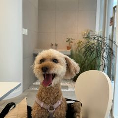조윤진 임대인의 프로필 이미지