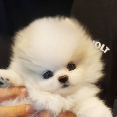 강지윤 임대인의 프로필 이미지