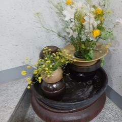 손창숙 임대인의 프로필 이미지