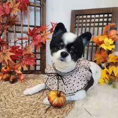 구슬 Landlord's Profile Image