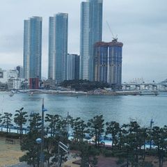 조정애 임대인의 프로필 이미지