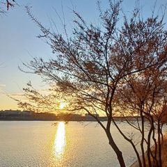 이승아 임대인의 프로필 이미지