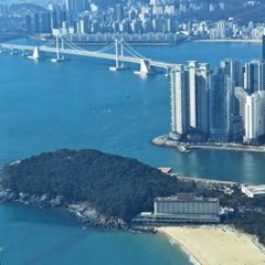 노애내 임대인의 프로필 이미지