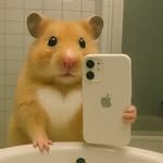 김세종 Landlord's Profile Image