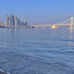 조성영 임대인의 프로필 이미지