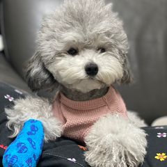 오션뷰H Landlord's Profile Image