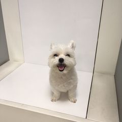 ssussu 임대인의 프로필 이미지