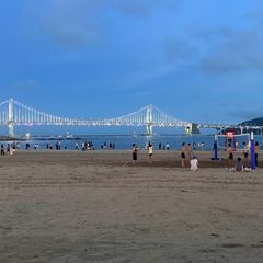 핸디 임대인의 프로필 이미지