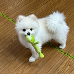이나리 Landlord's Profile Image
