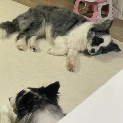 이선주 Landlord's Profile Image
