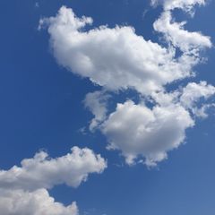 오쇼 임대인의 프로필 이미지