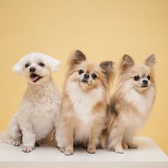 정은주 임대인의 프로필 이미지