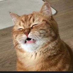 이연주 임대인의 프로필 이미지