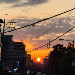 안경 임대인의 프로필 이미지