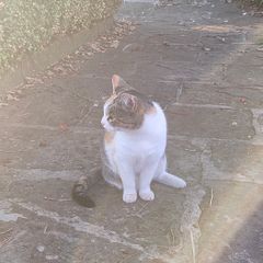 김유진 임대인의 프로필 이미지